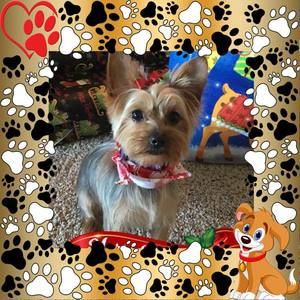 Meet your Posher, Marianne